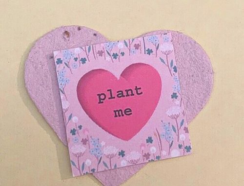 SEED PAPER INSERTS FOR VALENTINE’S DAY