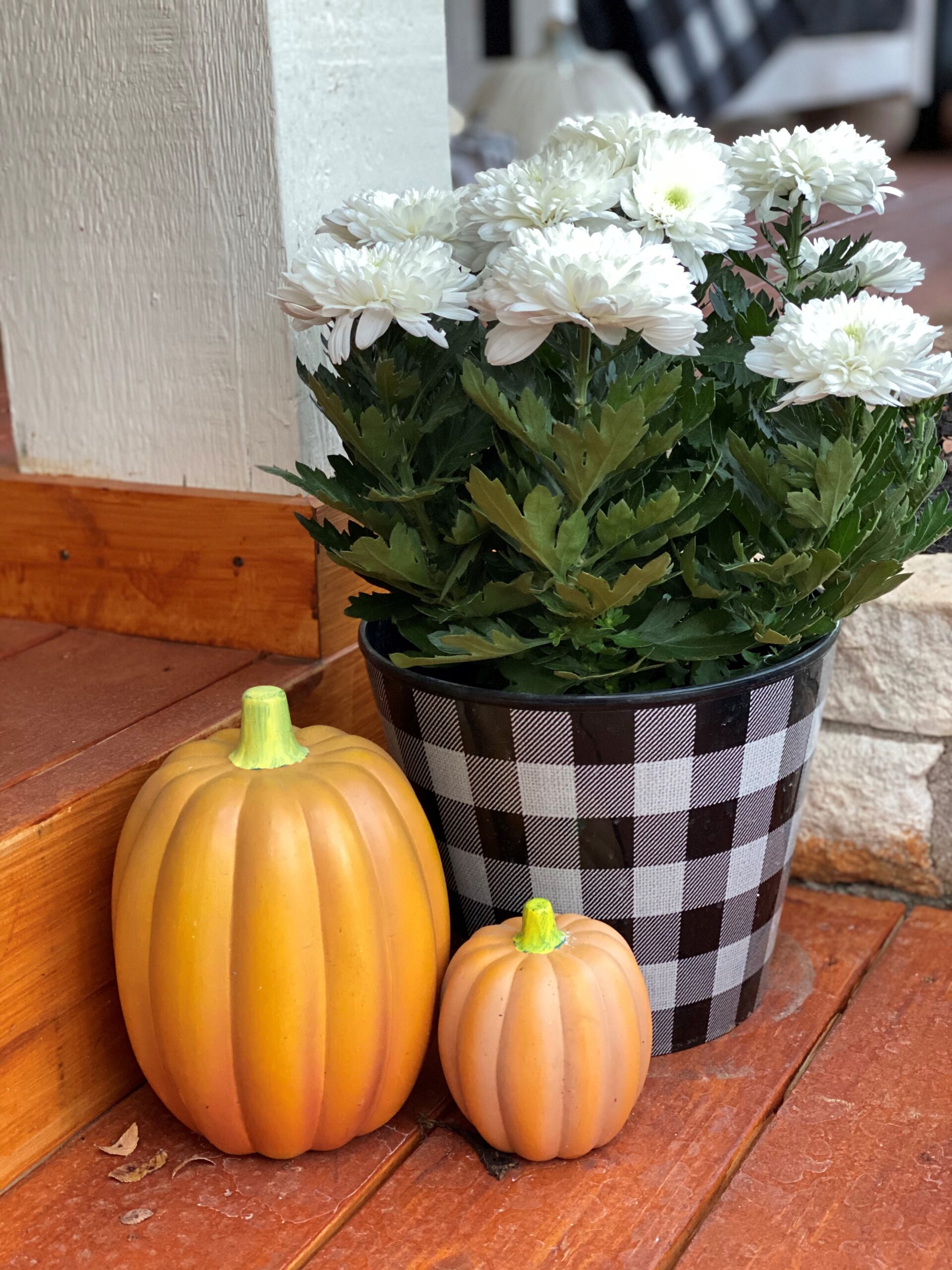 Halloween Front Porch Decorations, Vintage Rustic Front Porch, White Mums, Black and White Buffalo Check, Pumpkins